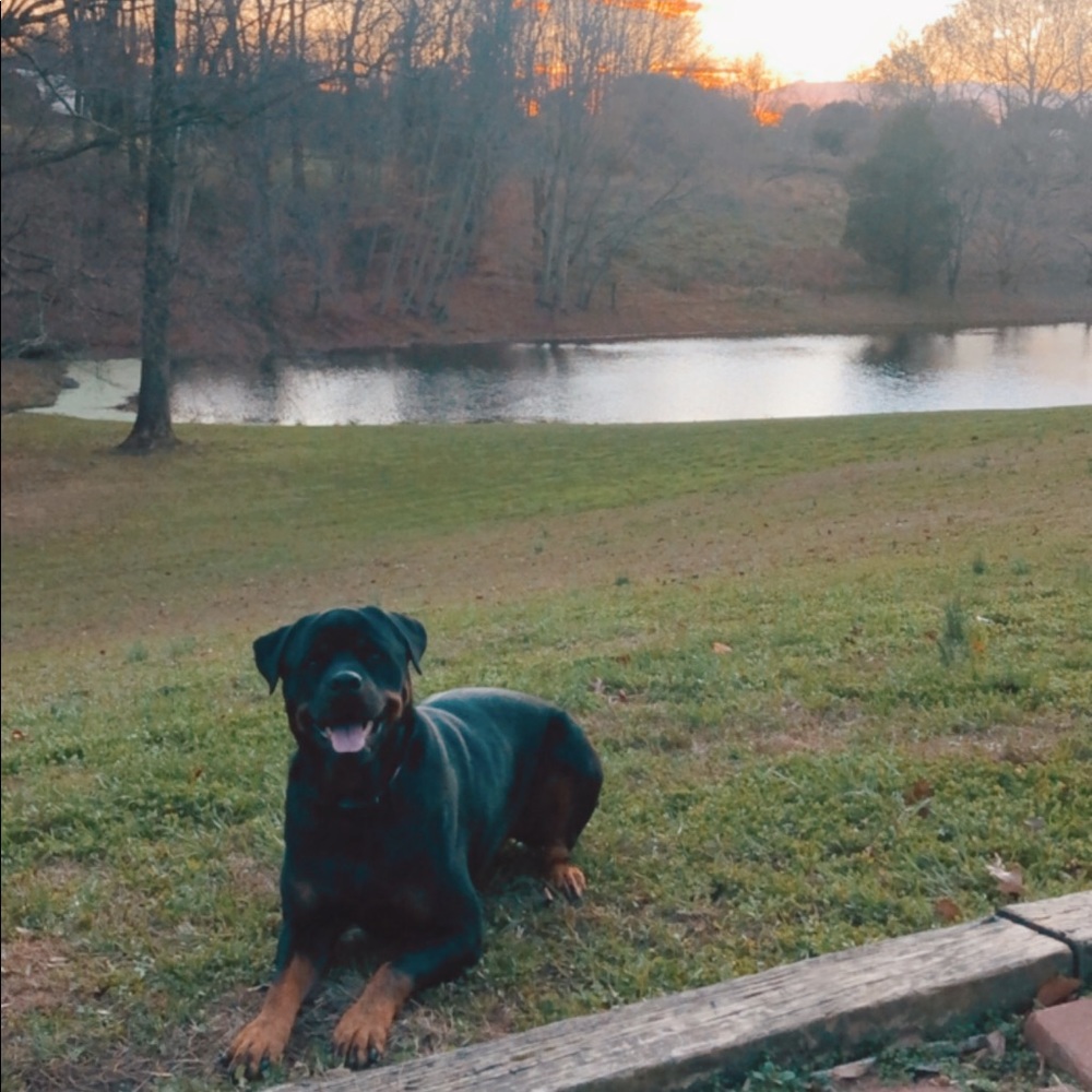 Meet your Posher, Courtney